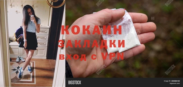СК Гусев