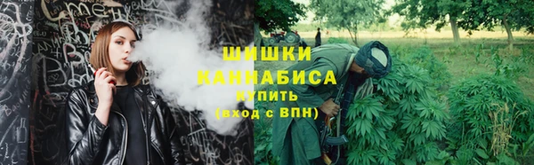 СК Гусев