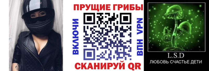 купить  сайты  Рубцовск  Галлюциногенные грибы MAGIC MUSHROOMS 